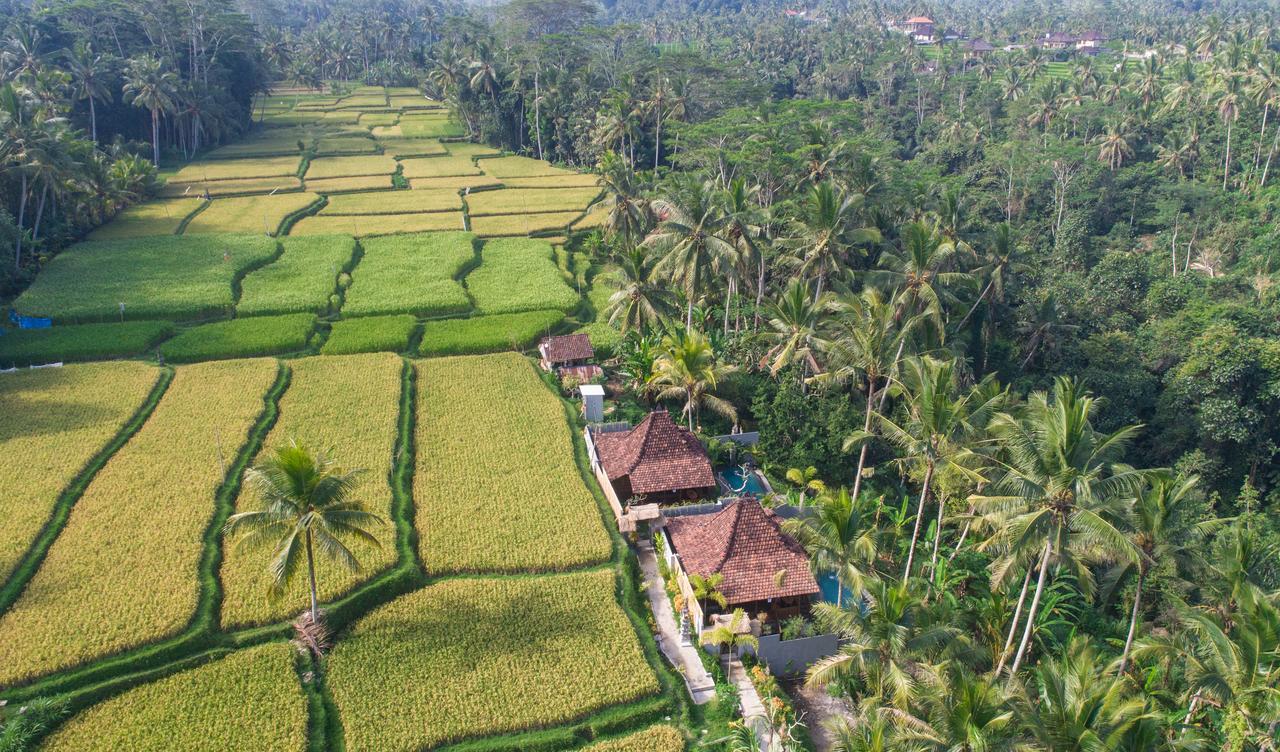 Mandana Ubud Villa Eksteriør billede